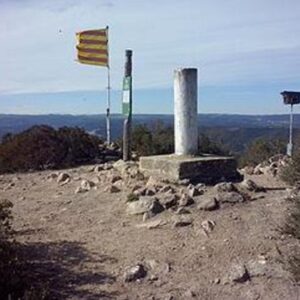 100cimS 8 de febrer de 2026 Puig de Sant Miquel (Anoia)