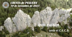 ENFILEM-NOS