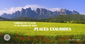 CAMINADA DE LA LLUM
