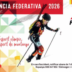 Llicència FEEC 2026