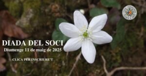 DIADA DEL SOCI